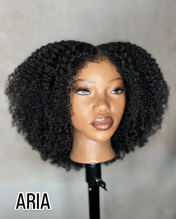 ARIA 2x6 HD Unit